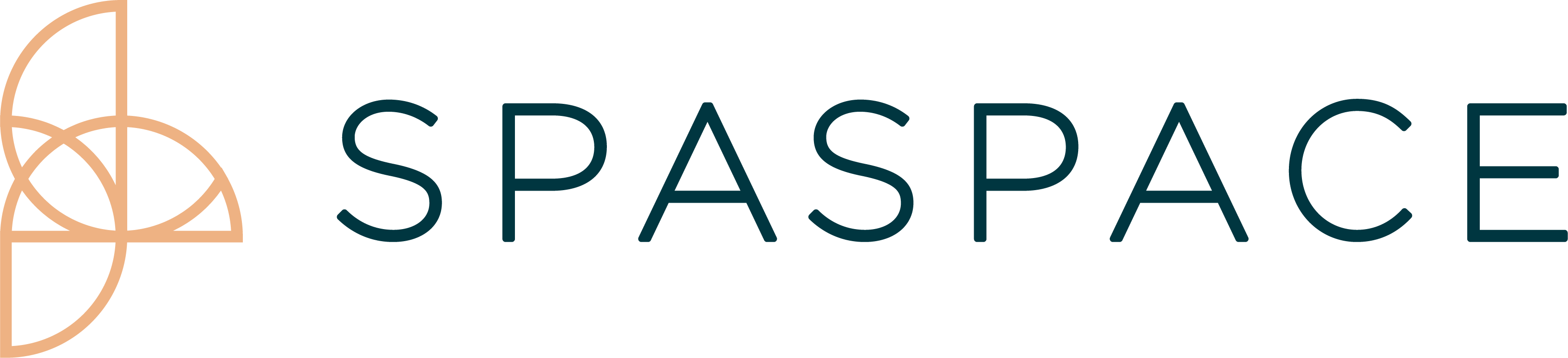 SpaSpace Logo 2022